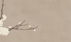 2022虎年生肖属兔在7月适合动土的吉利日子 好日子查询