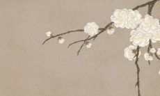 2022年7月份生肖属虎动土的最吉利日期 下面都是好日子