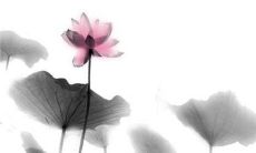 2022年8月3日是动土黄道吉日吗 好日子看八字