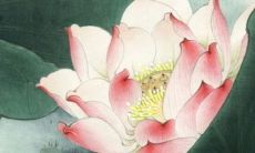 2022年阴历7月最好的动土吉利日期 好日子查询