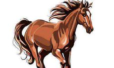 属马人命里的贵人 谁是属马人的贵人