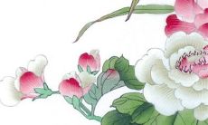 2022年生肖属猪在7月最佳动土吉日一览表 宜动土吉日