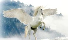 属马人2023年春节最好的发展方向在哪里