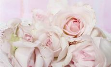 2022年12月适合结婚的日子 黄道吉日查询