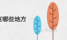 棕树不能栽在哪些地方 可以种在家门口吗