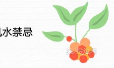 石榴树盆栽风水禁忌及寓意