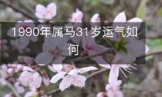 1990年属马31岁运气如何