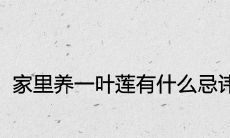 家里养一叶莲有什么忌讳吗