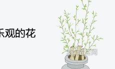 象征自信乐观的花 寓意积极向上与希望的花