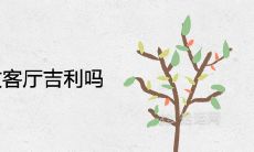 榕树盆景放客厅吉利吗 可以兴旺风水吗