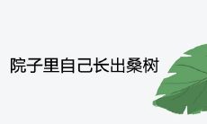 院子里自己长出桑树的寓意吉利吗