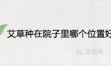 艾草种在院子里哪个位置好 可以种在门口吗