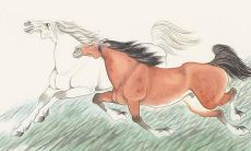 90年出生的马男与哪些十二生肖有着深厚的缘分