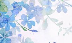 2023年3月18日适合出行吗 外出游玩好不好