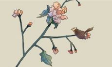 2023年3月3日宜远行吗 出行吉日查询