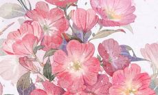 2023年3月12日适合出门吗 是出行吉日吗