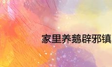 家里养鹅辟邪镇宅是真的吗