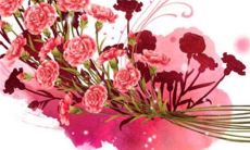 2023年3月4日适合出门游玩吗 出行日子查询