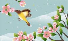 2023年3月8日妇女节适合出行吗 外出游玩好不好