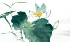 2023年3月9日出行日子好不好 今日日子吉利吗