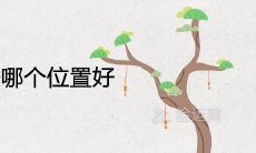 丁香树栽在院子哪个位置好镇宅旺风水