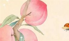 2023年3月11日可以出门吗 是出行上等吉日吗