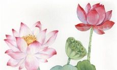 2023年3月20日出行吉日吗 黄历日子查询