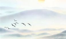 2023年3月16日出行吉利吗 远游日子查询