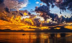 生肖马2023年4月的幸运色和数字是什么