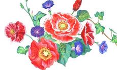 2021年12月10日开张大吉吗 是开张吉日吗