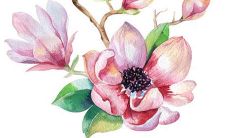 2021年12月7日宜开张开业吗 是黄道吉日吗