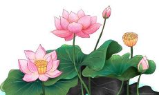 2021年12月13日开张合适吗 店铺开张合适吗