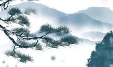 2021年12月4日公司开张好不好 是不是好日子