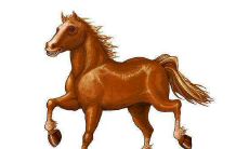 属马人最怕什么生肖 这三个生肖最可怕