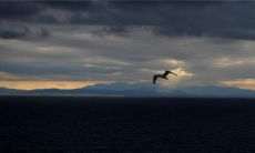 属兔农历几月出生带财 生于2月好运不断