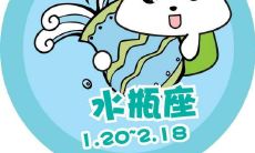 水瓶座的婚姻运势如何 婚姻长久概率是多少