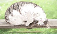 那些你所不知的植物风水:如何给卧室挑植物