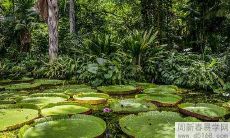 2022年水瓶座6月运势及运程 2022年6月水瓶座运势完整