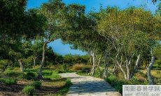 2022年水瓶座5月运势及运程 2022年5月水瓶座运势完整