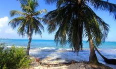 施晋元姓名评分75分