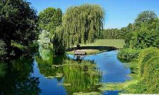 2022年水瓶座8月运势及运程 2022年8月水瓶座运势完整