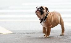 吉人姓名评分88分