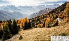 2022年属鸡水瓶座运势运程预测分析解读