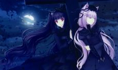 柏丽军姓名评分72分