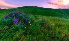 皮琼瑶姓名评分93分