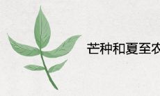 2021年芒种和夏至农历5月节气时间在几月几时