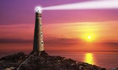 纪无名姓名评分88分