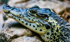 毛先峰姓名评分78分