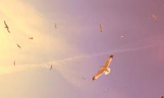 裴辰阳姓名评分91分