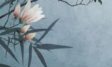 生肖鼠2022年10月开工最佳日期本月 有7天好日子